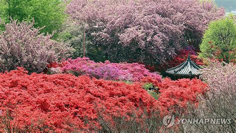 전북 맑고 낮 기온 21∼25도미세먼지 보통 연합뉴스