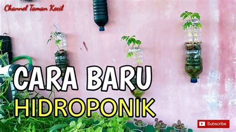 Hidroponik Tempel Gantung Dari Botol Bekas Dengan Sistem Wick Youtube