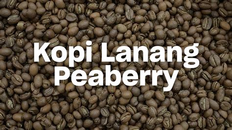 MARI MENGENAL KOPI PEABERRY LANANG YANG PENUH KHASIAT YouTube