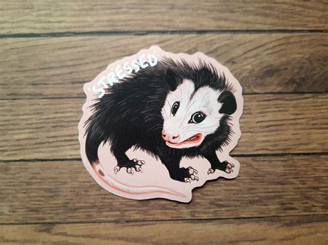 Stressed Opossum Sticker For Water Bottle Stressed Sticker For Laptop