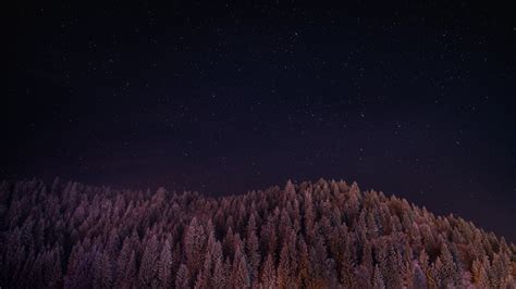 Fondos De Pantalla X Px Bosque Galaxia Paisaje Noche