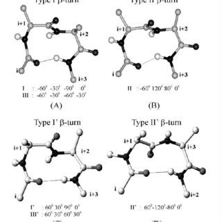 Isolated single type-III and type-II´βII´β-turns facilitate peptide ...