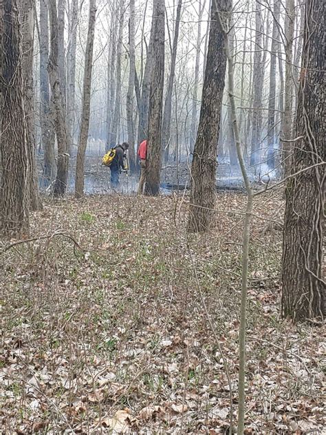 Crews Fighting 40 50 Acre Brush Fire In Alexander County Ill