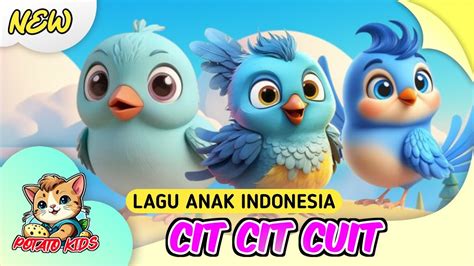 cit cit cuit lagu anak indonesia lagu anak populer youtube