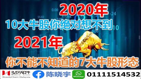 2020年最牛的十大牛股你绝想不到（股票投资理财）202012302020年总结为什么新手赚的盆满钵满老股民没怎么赚2021年是