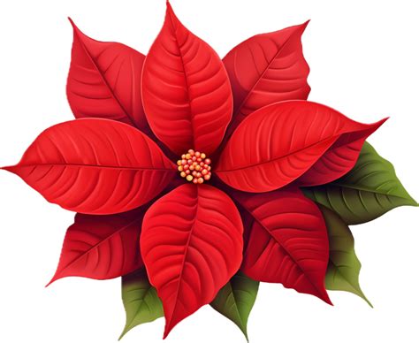 Ai Generated Christmas Poinsettia Flower Png 35062893 Png