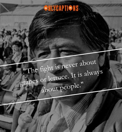 940+ Cesar Chavez Quotes (2024) Ignite Your Activist Spirit