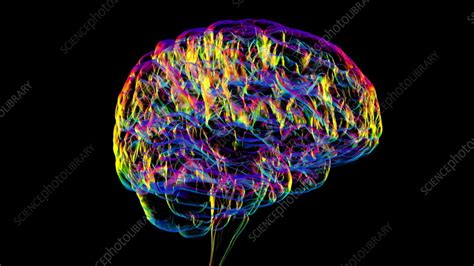 Human brain, animation - Stock Video Clip - K012/9963 - Science Photo Library