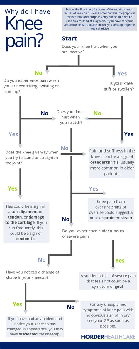 Infographic Why Do I Have Knee Pain Horder Healthcare