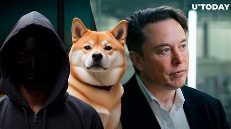 Shiba Inu Lead Breaks Silence On Being Elon Musk Shares Big Shib Vision