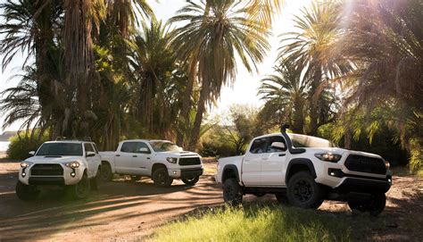 A Shocking Difference? Everything You Ever Wanted to Know About the