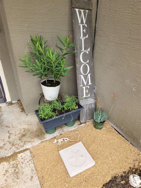 Front Door Plants : r/plants