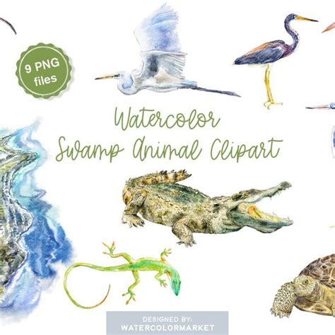 Swamp Animals Clipart | Animal clipart, Heron illustration, Clip art