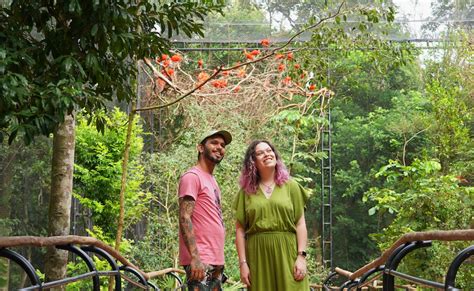 Parque Das Aves Reinaugura Viveiro Dedicado S Aves De Rios E