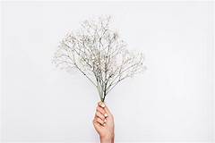 Babys Breath Skin Irritation