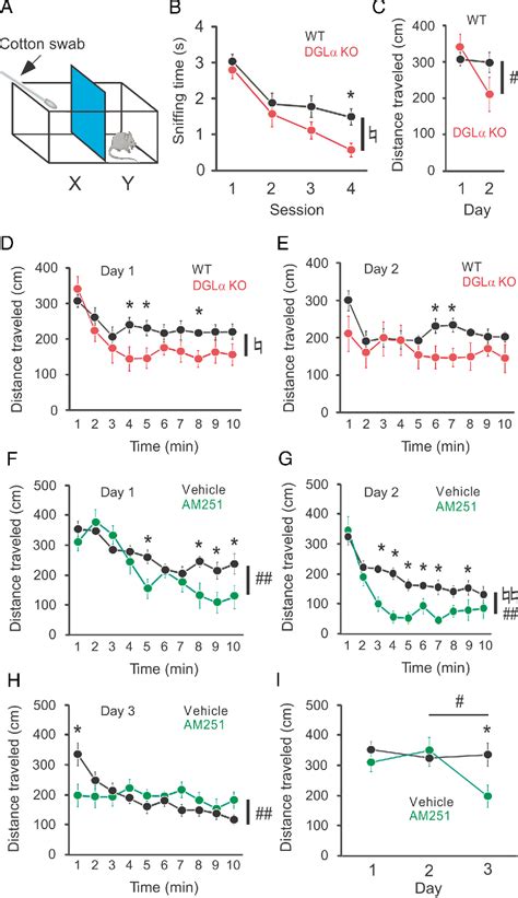 Figure From The Endocannabinoid Arachidonoylglycerol Negatively