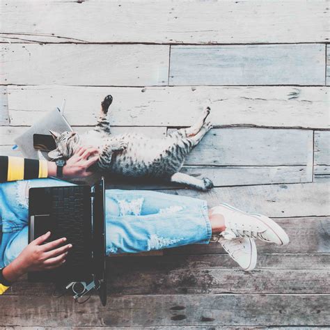 Vital Collective | Online Sessions