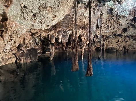 Tour Cenotes Oasis Maya by Xcaret from Cancún and Playa del Carmen 2022