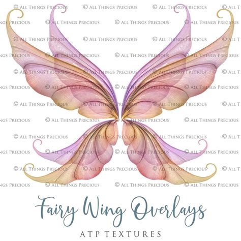 25 Png MULTICOLOURED FAIRY WING Overlays Set 3 Overlays Photo