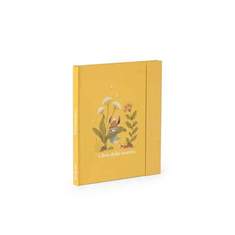 La Nascita Del Libro