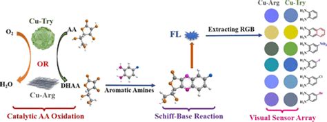 Visual Sensor Array For Multiple Aromatic Amines Via Specific Ascorbic