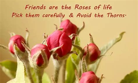 50+ Amazing Happy Rose Day Quotes for Friends 2024 - QuotesProject.Com