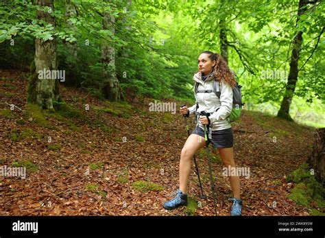 Girl walking alone in forest hi-res stock photography and images - Alamy