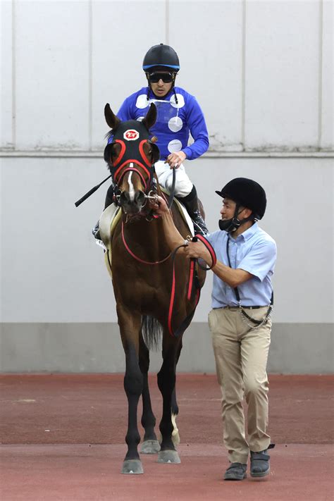 【勝羽の日曜競馬コラム・寒狭川特別】 日刊ゲンダイ競馬