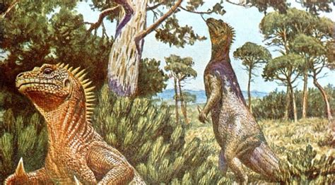 The evolution of Gerhard Heilmann’s Iguanodons – Shells and Pebbles