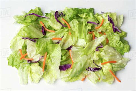 Agriculture Iceberg Salad Mix Consisting Of Chopped Iceberg Lettuce