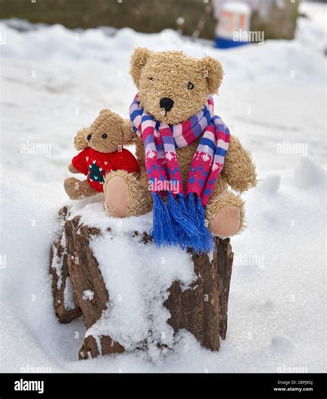 Two Teddy Bears Hugging Hi Res Stock Photography And Images Alamy