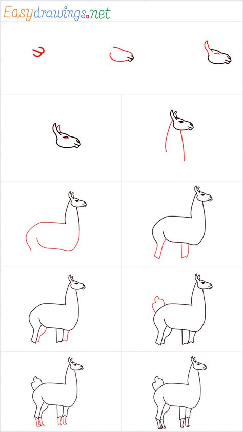 How To Draw A Llama Step By Step Easy Phase