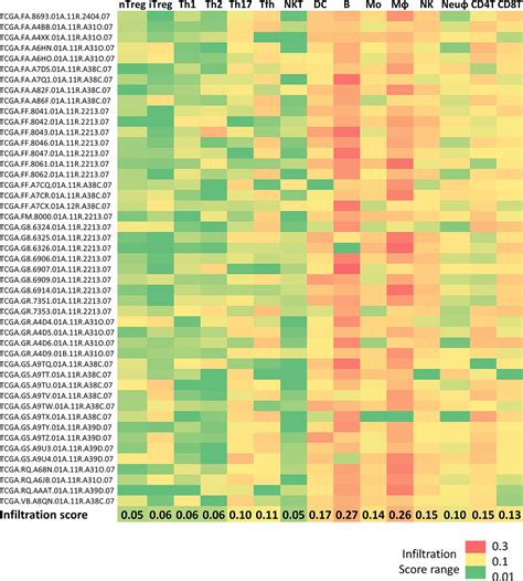 Frontiers Diffuse Large B Cell Lymphoma Microenvironment Displays A