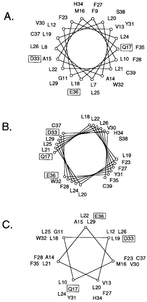 Helical Wheel Diagrams Of The E Protein In A Canonical Helix A A