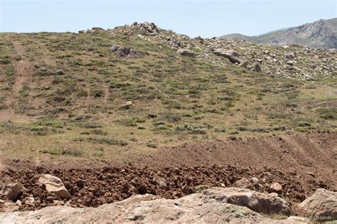 Ecosistema Terrestre Matorral Bajo Mediterráneo Andino De Chuquiraga