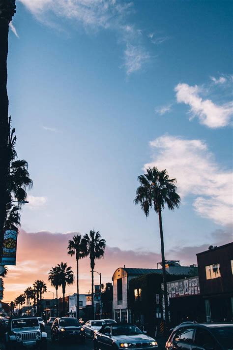 [100+] Venice Beach Wallpapers | Wallpapers.com