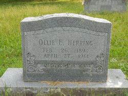 ollie etter carruth herring   find  grave memorial