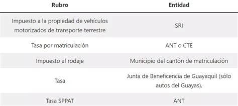 Consultar Valor A Pagar Matrícula Vehicular Sri 2025 Ecu11