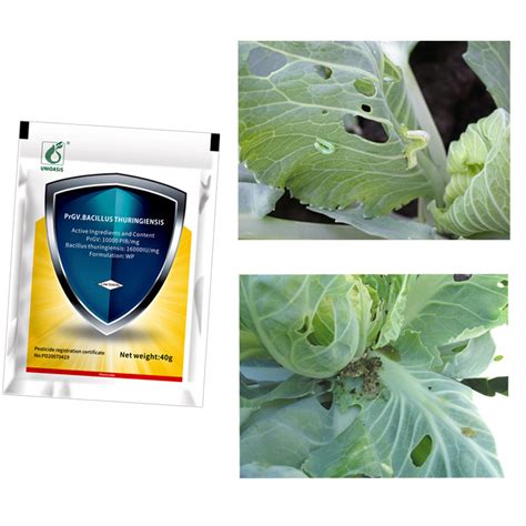 Prgv Bt Non Toxic Farming Biological Insecticides Organic Vegetable