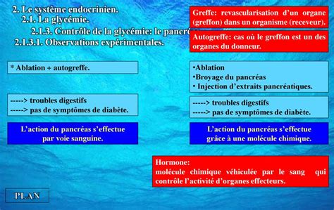 Les Voies De Communication Intercellulaires Le Syst Me Endocrinien