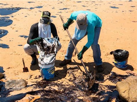 ONG mobiliza voluntários para ajudar na limpeza de praias no NE