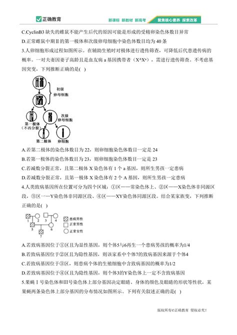 （2）基因和染色体的关系——2023 2024学年高一生物学人教版（2019）必修二单元检测卷（a卷） 正确云资源