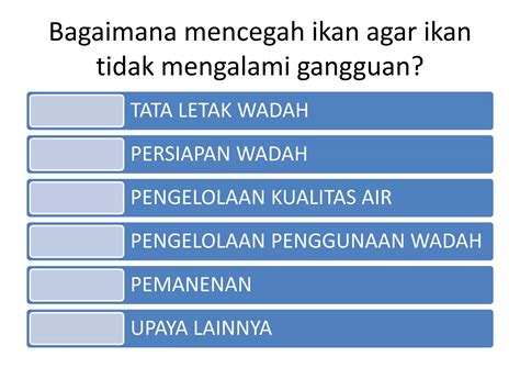 Manajemen Kesehatan Ikan Ppt