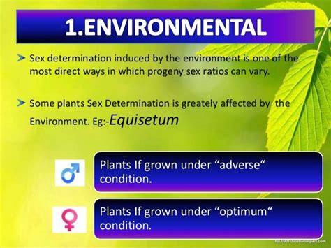 Sex Determination In Plants