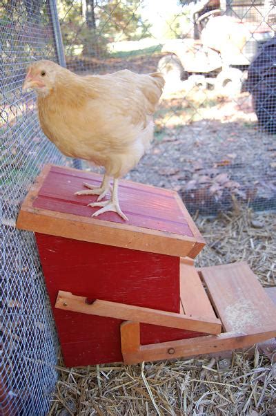 The Garden Roof Coop Automatic Chicken Feeder Plans Blueprints