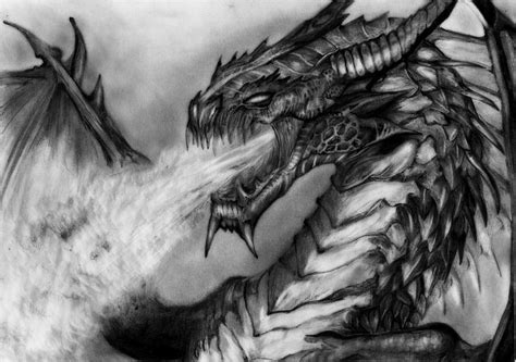 Fire Breathing Dragon. Drawing by Louis Wood | Saatchi Art