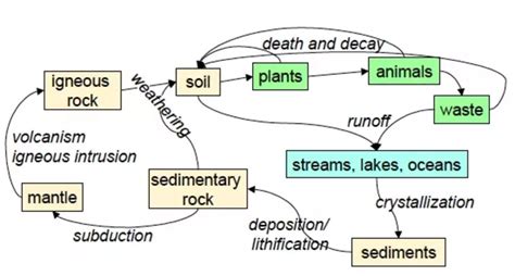 Unit 6 Phosphorus Option Reading Phosphorus