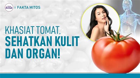 Mitos Fakta Manfaat Tomat Kencangkan Kulit Hingga Cegah Kanker