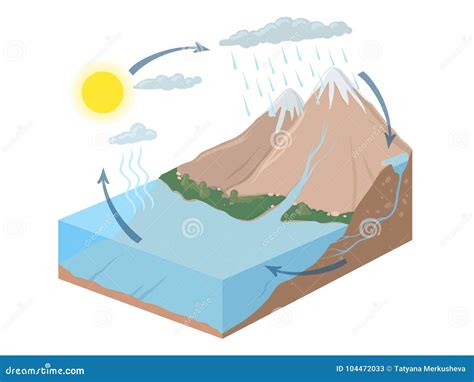 Vector La Representación Esquemática Del Ciclo Del Agua En Naturaleza