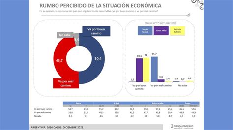 Una Encuesta Develó Qué Piensan Los Votantes De Milei Sobre El Rumbo